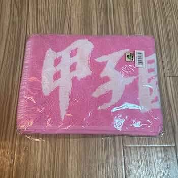 甲子園タオルセット 71g7lF4JxTL._AC_SY200_QL15_.jpg